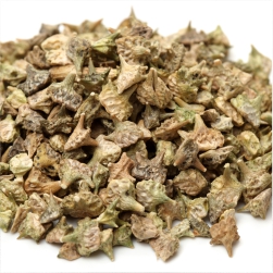 Tribulus%20terrestris